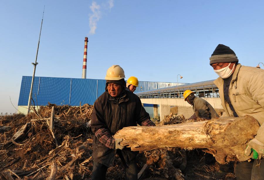 （經濟）（1）安徽：生物質發電助環保