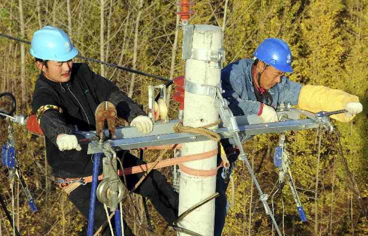 山東郯城農村電網升級備戰寒冬