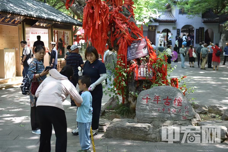 6月7日上午，2024山東省“鄉村好時節·樂動生活”（棗莊會場）暨冠世榴園青檀寺景區“開園煥新”啟動儀式在山東文旅冠世榴園青檀寺景區舉行。