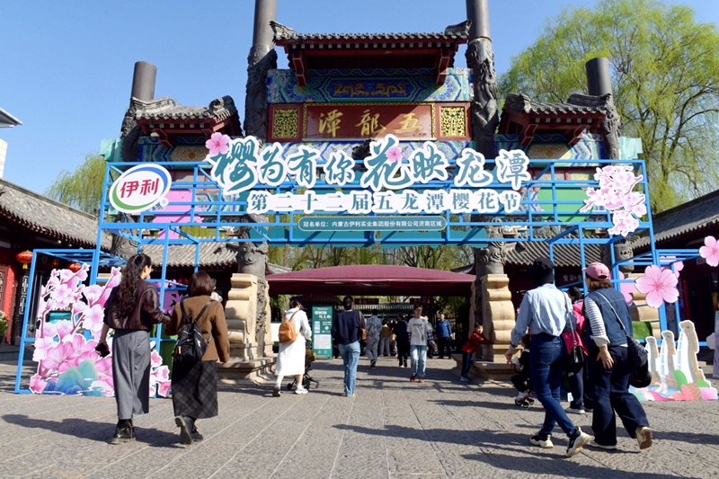 中宏網(wǎng)山東3月22日電 夾岸香風拂面來，櫻花如雪映潭開。3月22日，備受矚目的第二十二屆五龍?zhí)稒鸦ü?jié)在五龍?zhí)豆珗@盛大開幕，吸引眾多市民游客前來感受櫻花爛漫，共賞春日盛景。（攝影 王平）